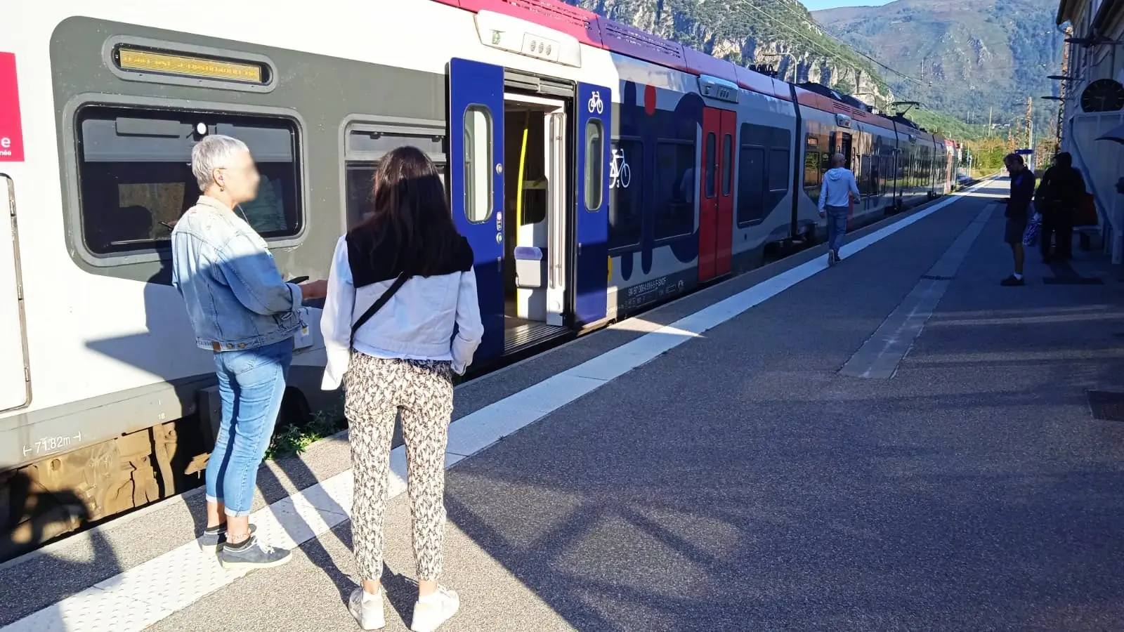 Trafic SNCF: « Un train de nuit aurait percuté un troupeau de moutons entre Luzenac et Ax les thermes »