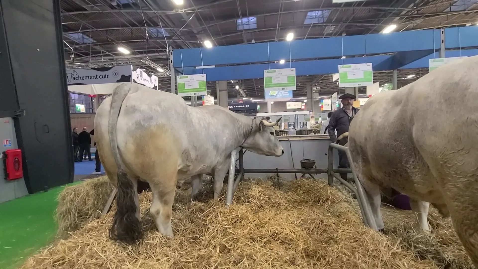 Salon International de l’Agriculture 2025 : les Hautes Pyrénées présentes sur un stand commun au sein du Groupement Européen de Coopération Territoriale (GECT) Pyrénées-Pirineos