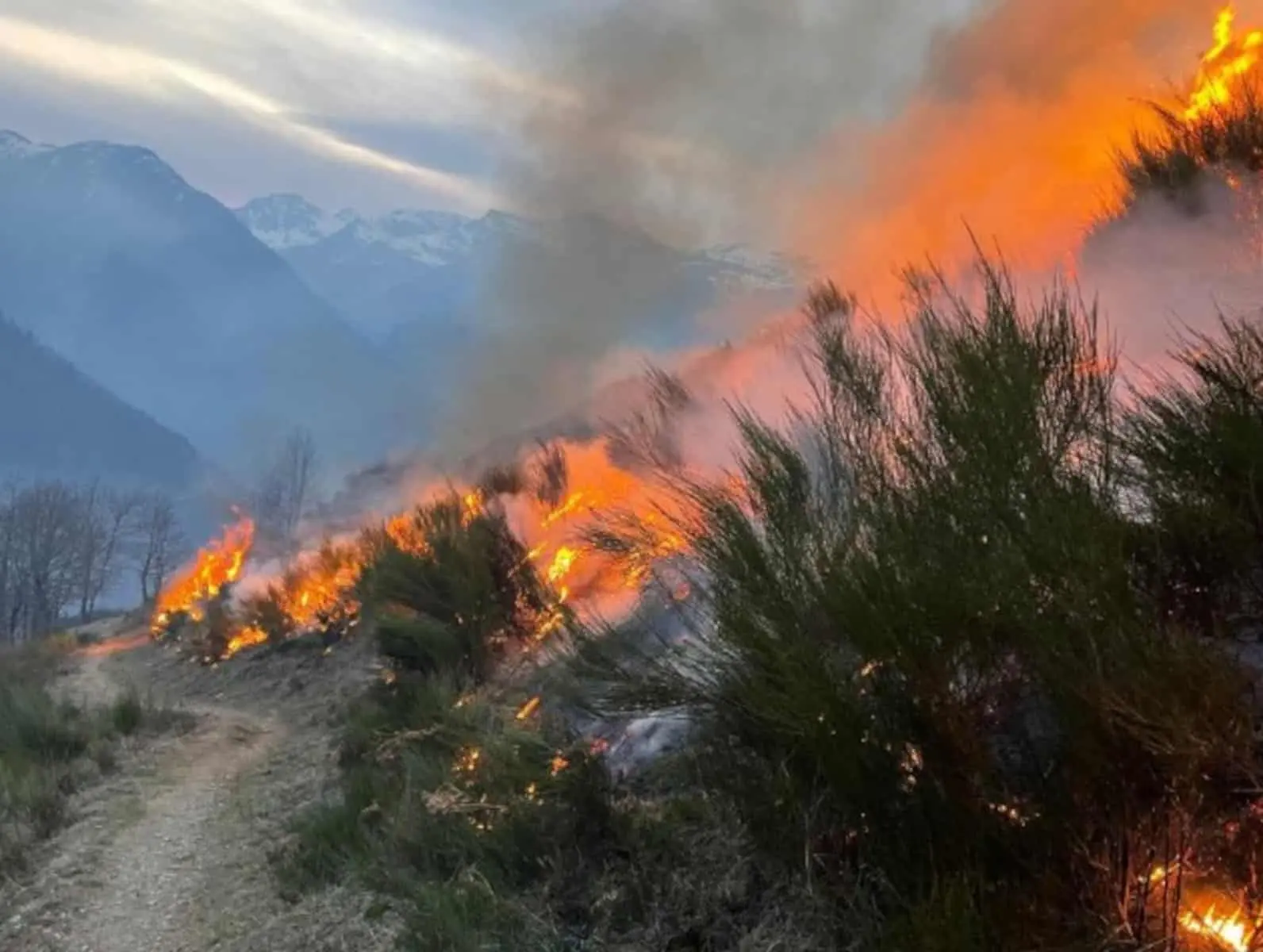 Écobuage : Des règles pour éviter les incendies