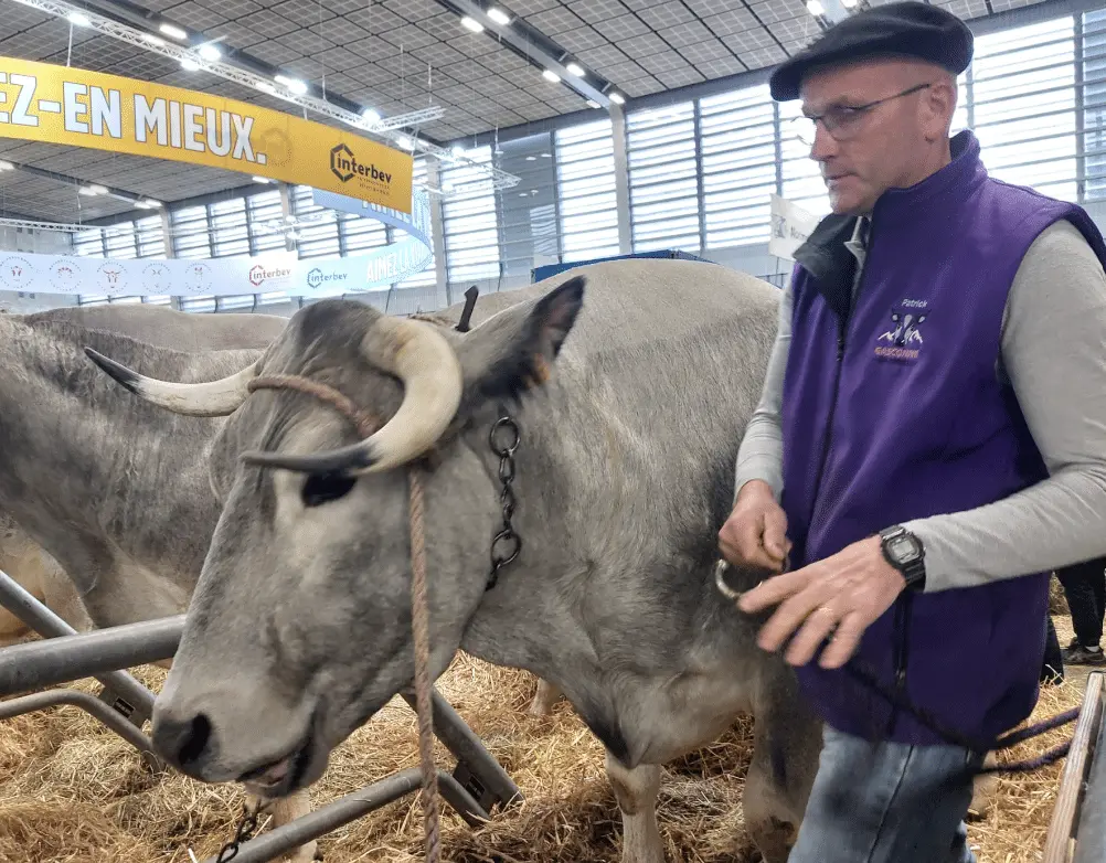 Salon de l’agriculture : l’Ariège reçoit sept distinctions