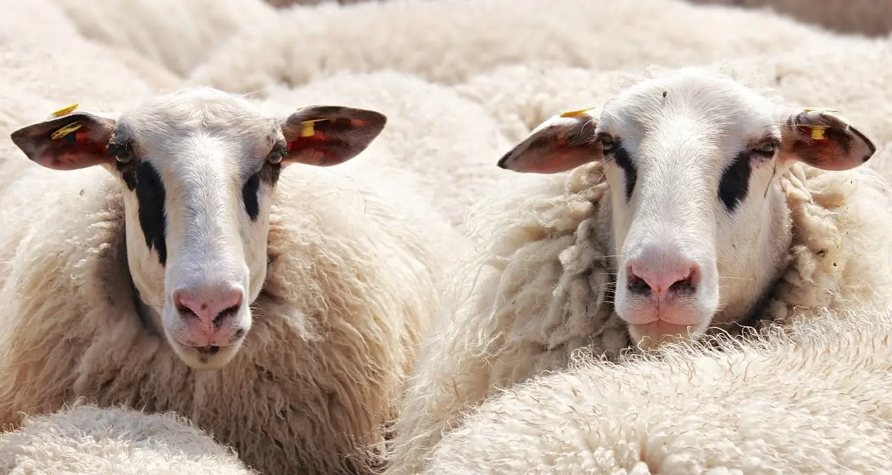Ariège. Des permanences à destination des agriculteurs