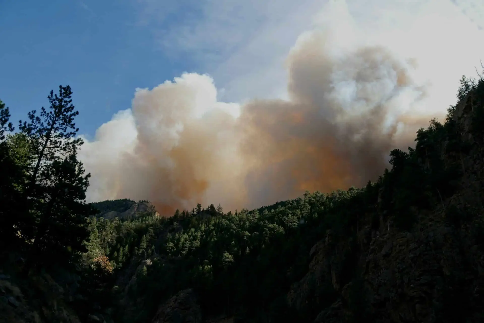 Deux incendies cette nuit dans les Pyrénées-Orientales · Des carcasses de moutons à même le sol à Badens (Aude) · Mobilisation des agriculteurs à Pau