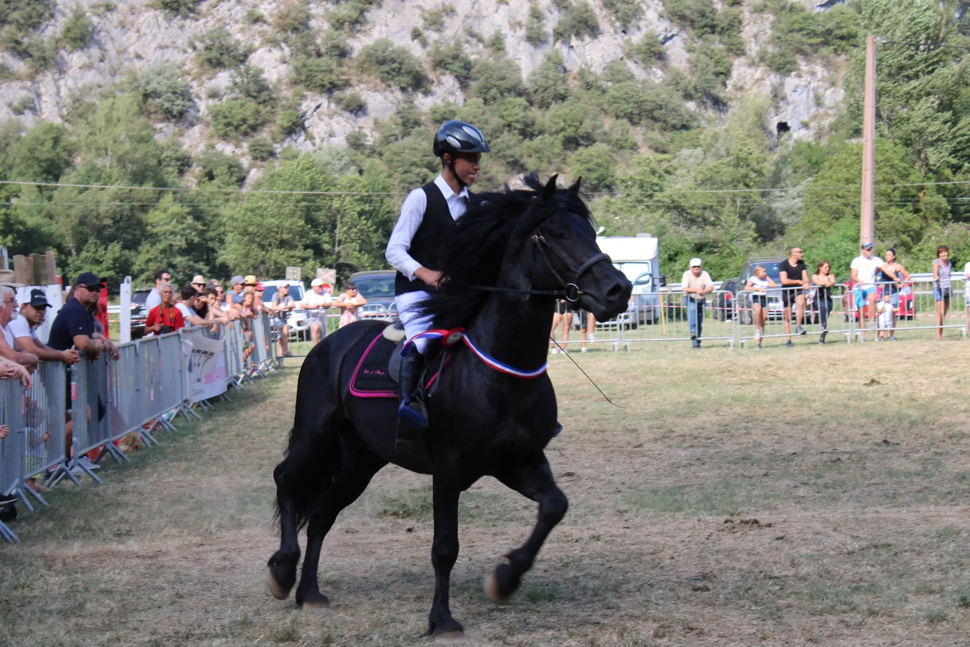 Ariège. C’est parti pour la fête nationale du cheval de Merens