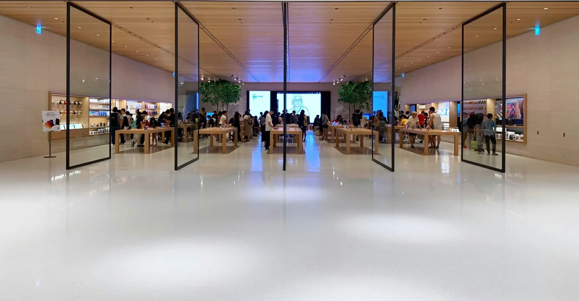 Les magasins C&C (Apple) de Pau, Labège et Tarbes cambriolés / Un nouveau cas de dengue dans les Pyrénées-Orientales… L’actu du week-end