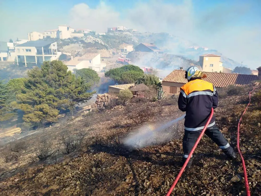 L’homme à l’origine de l’incendie des Hauts de Narbonne condamné · 300 animaux retrouvés dans une maison près de Perpignan