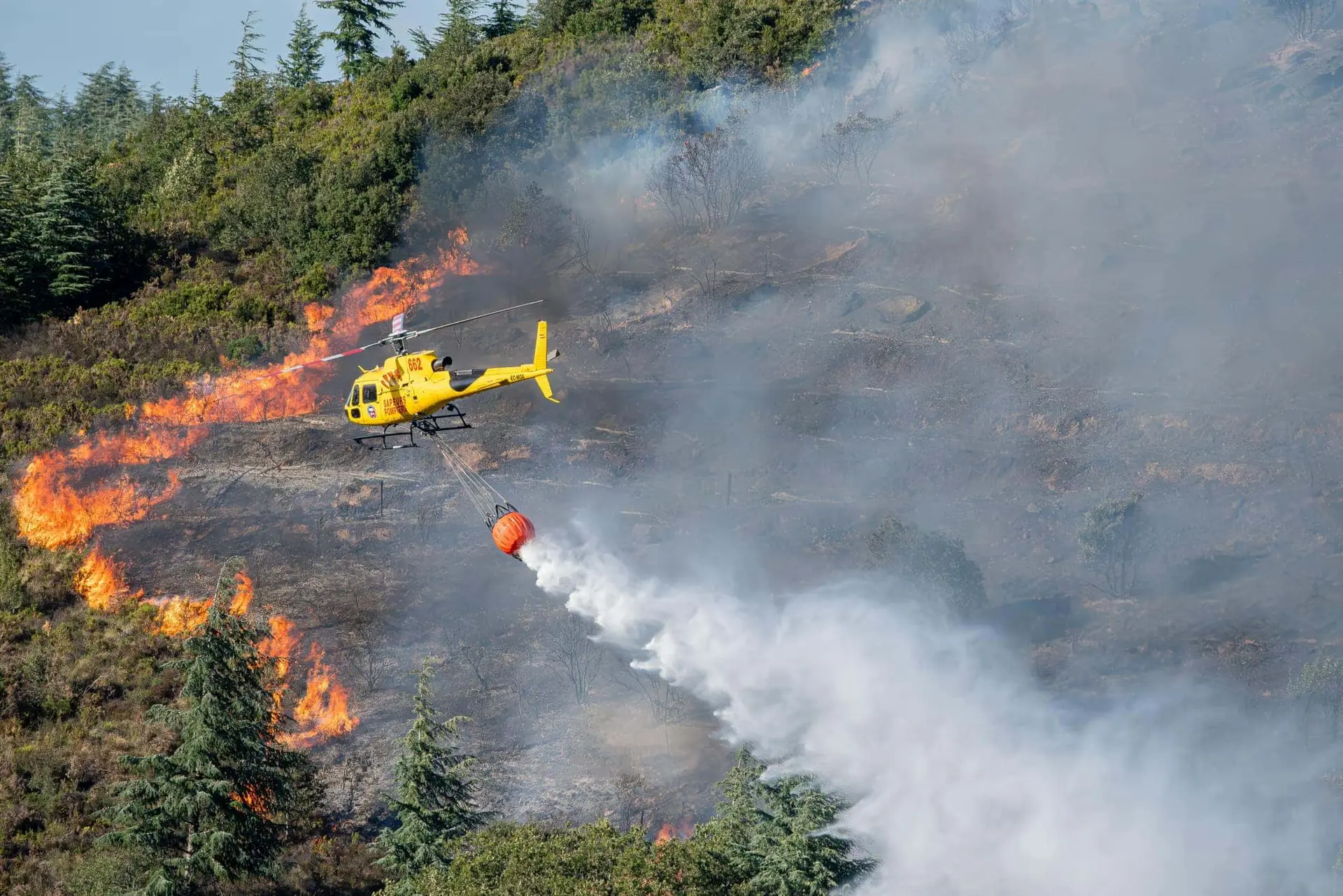 Pyrénées Orientales. 280 hectares brûlés, 5 pompiers blessés : le feu du massif des Aspres maitrisé