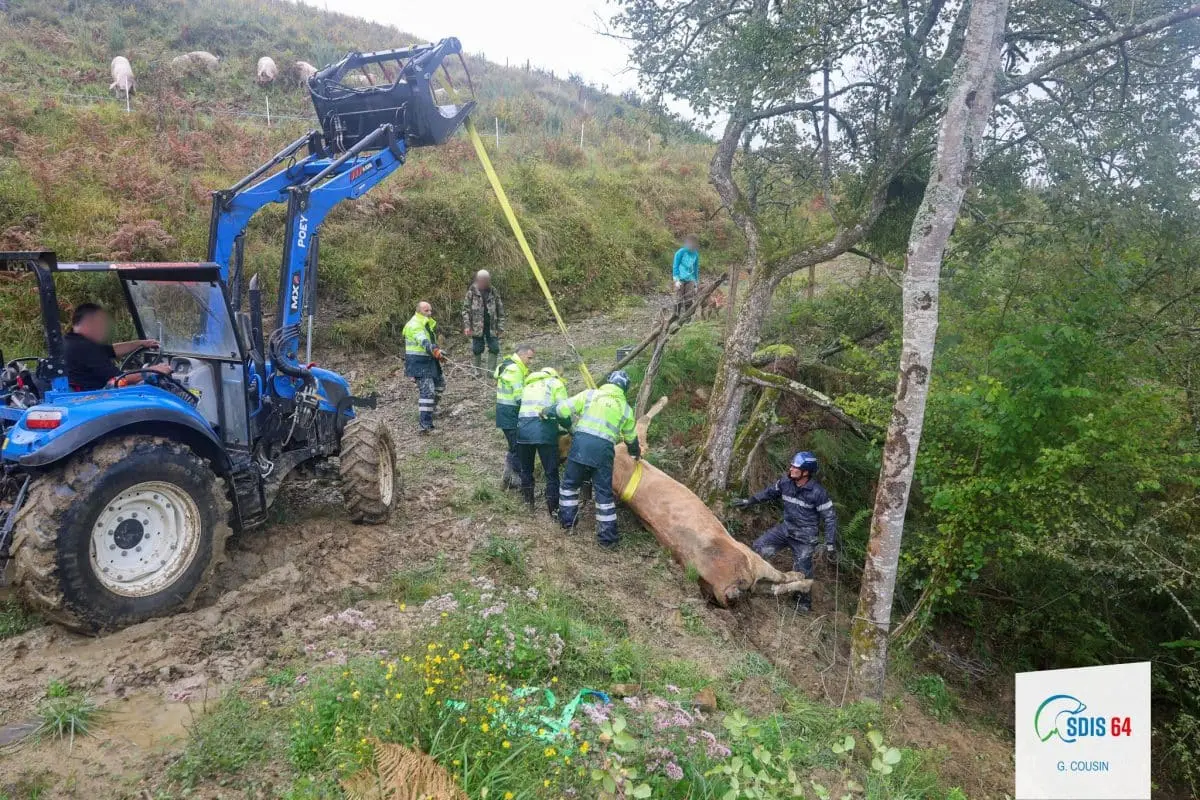 Dépression Kirk : des milliers de foyers coupés d’électricité dans les Pyrénées · Scandale dans un Ehpad d’Ariège · Une vache et son veau sauvés par les pompiers