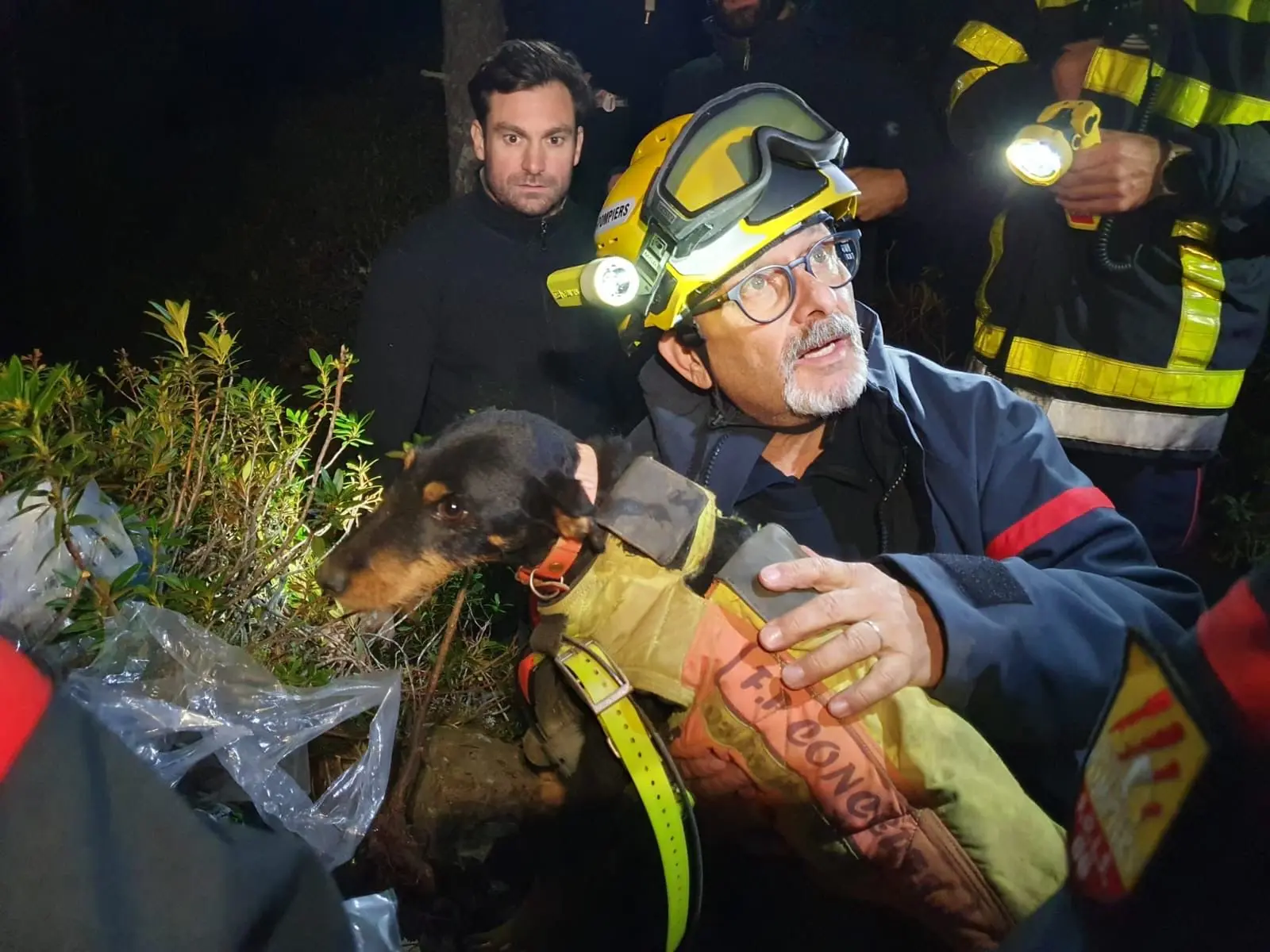 Pyrénées-Orientales. Les pompiers ont sauvé un chien de chasse piégé dans une cavité