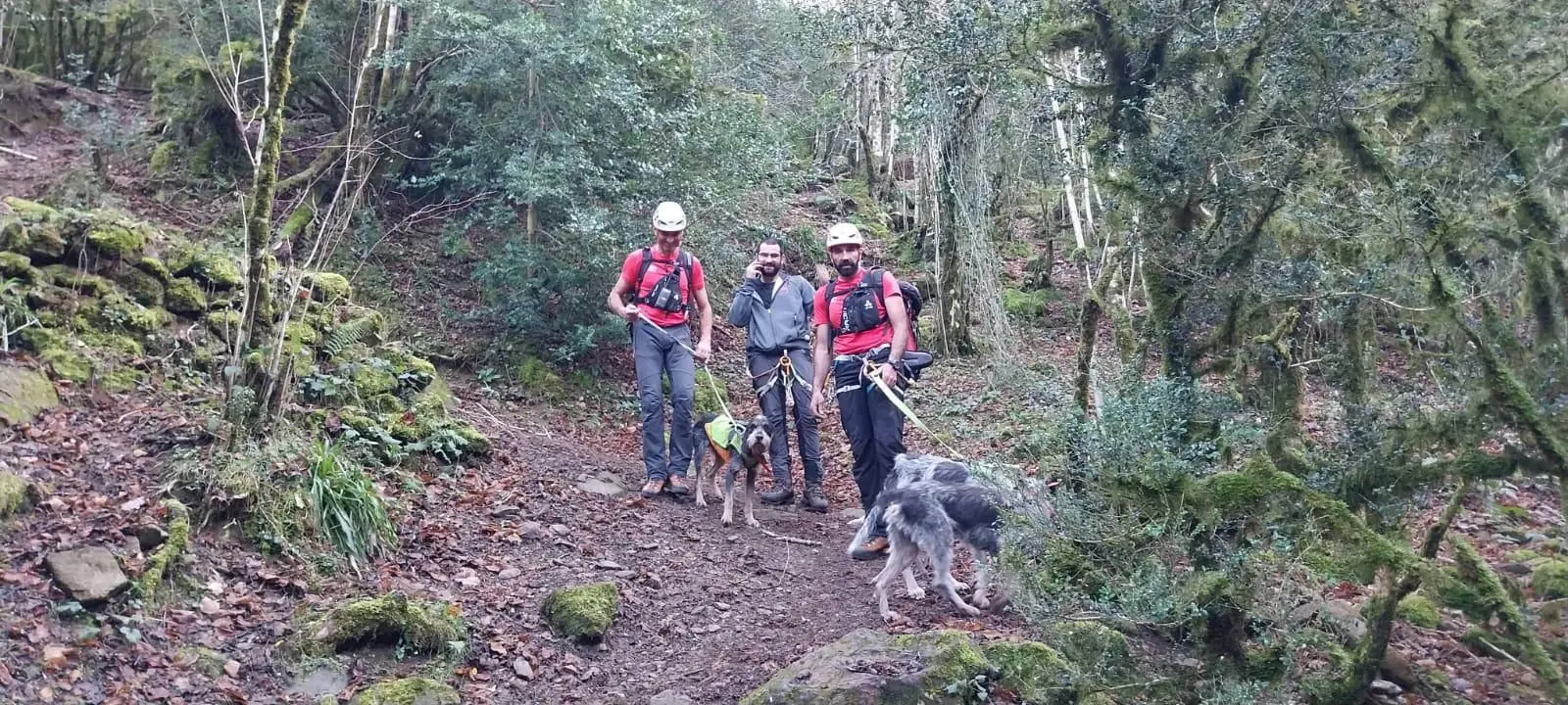 Ariège. Les pompiers réalisent une descente en rappel de 70m et sauvent la vie de trois chiens