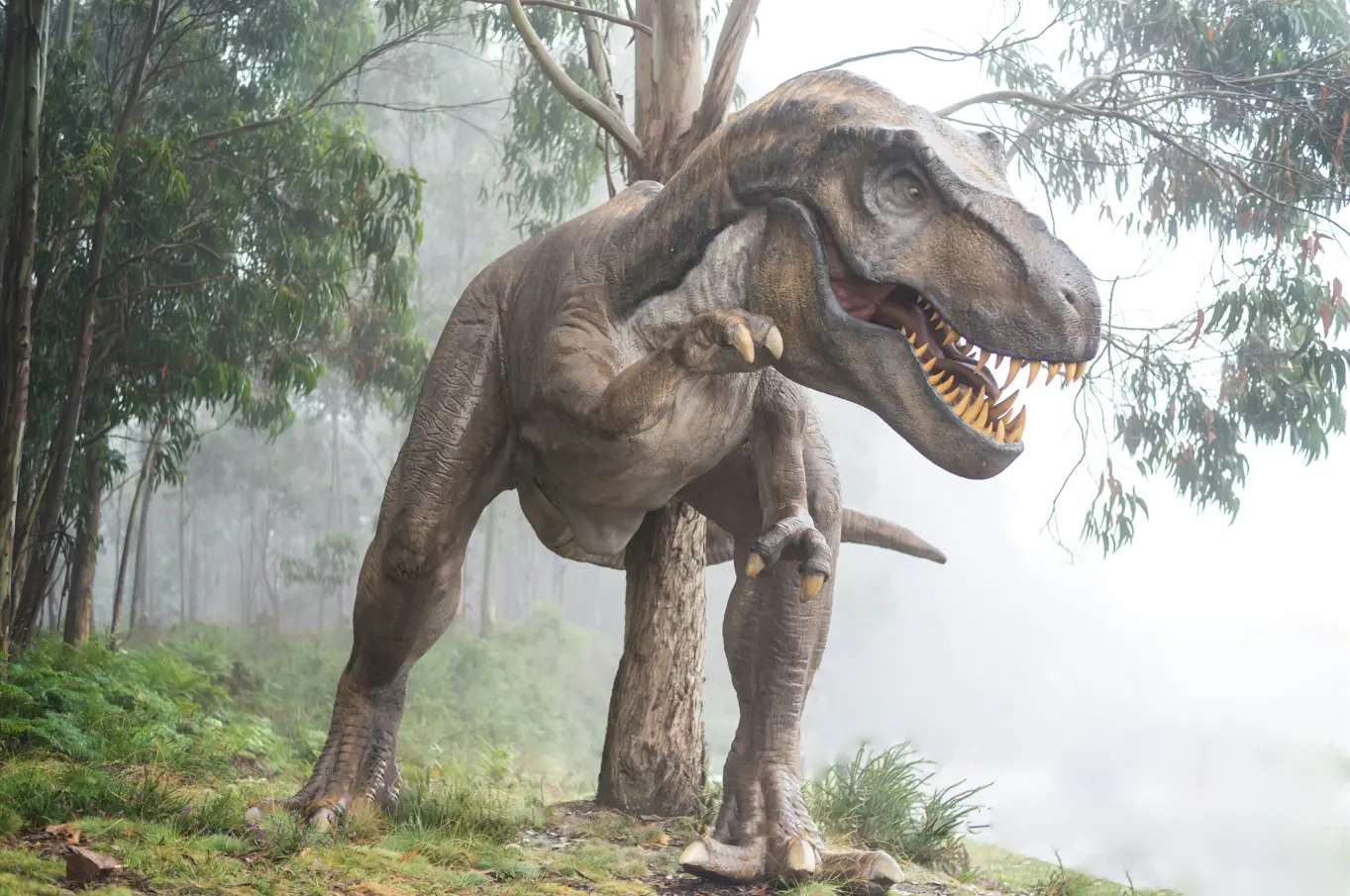 Des T-rex à Limoux, à Pau ou encore à Prades ? Cette carte recense les dinosaures qui ont vécu près de chez vous