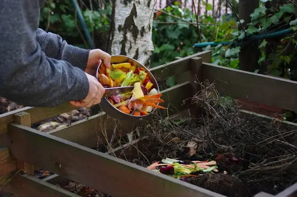 Bientôt la 12ème édition de la campagne « Tous au Compost ! »
