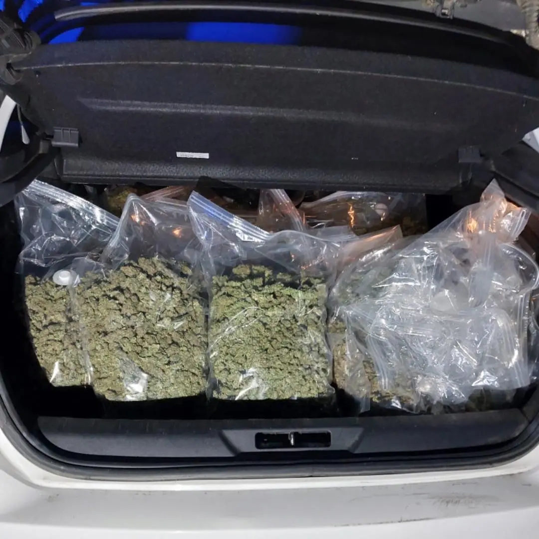 Autoroute A9 : 21 kg d’herbe de cannabis et 3.3 kg de résine saisis par les forces de l’ordre