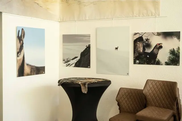 La faune ariégeoise à l’honneur au restaurant du Parc de la Préhistoire