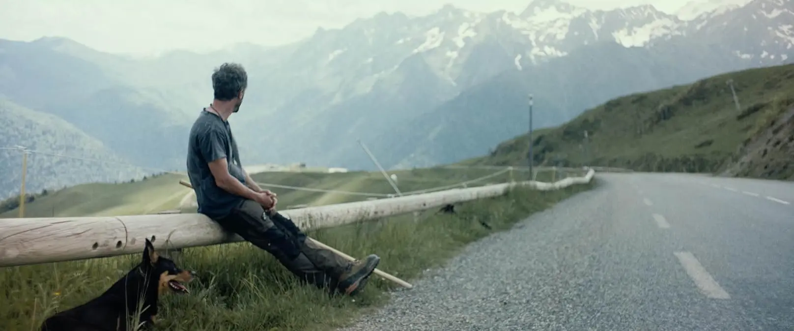 Cinéma : « L’ADN des Pyrénées », un hommage vibrant au pastoralisme rendu ce soir à Lavelanet