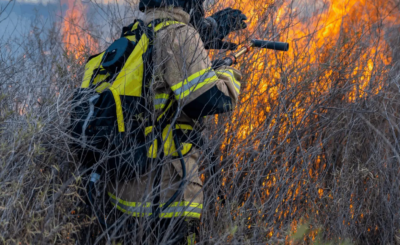 Ariège : un hectare brûlé, les pompiers évitent une propagation majeure