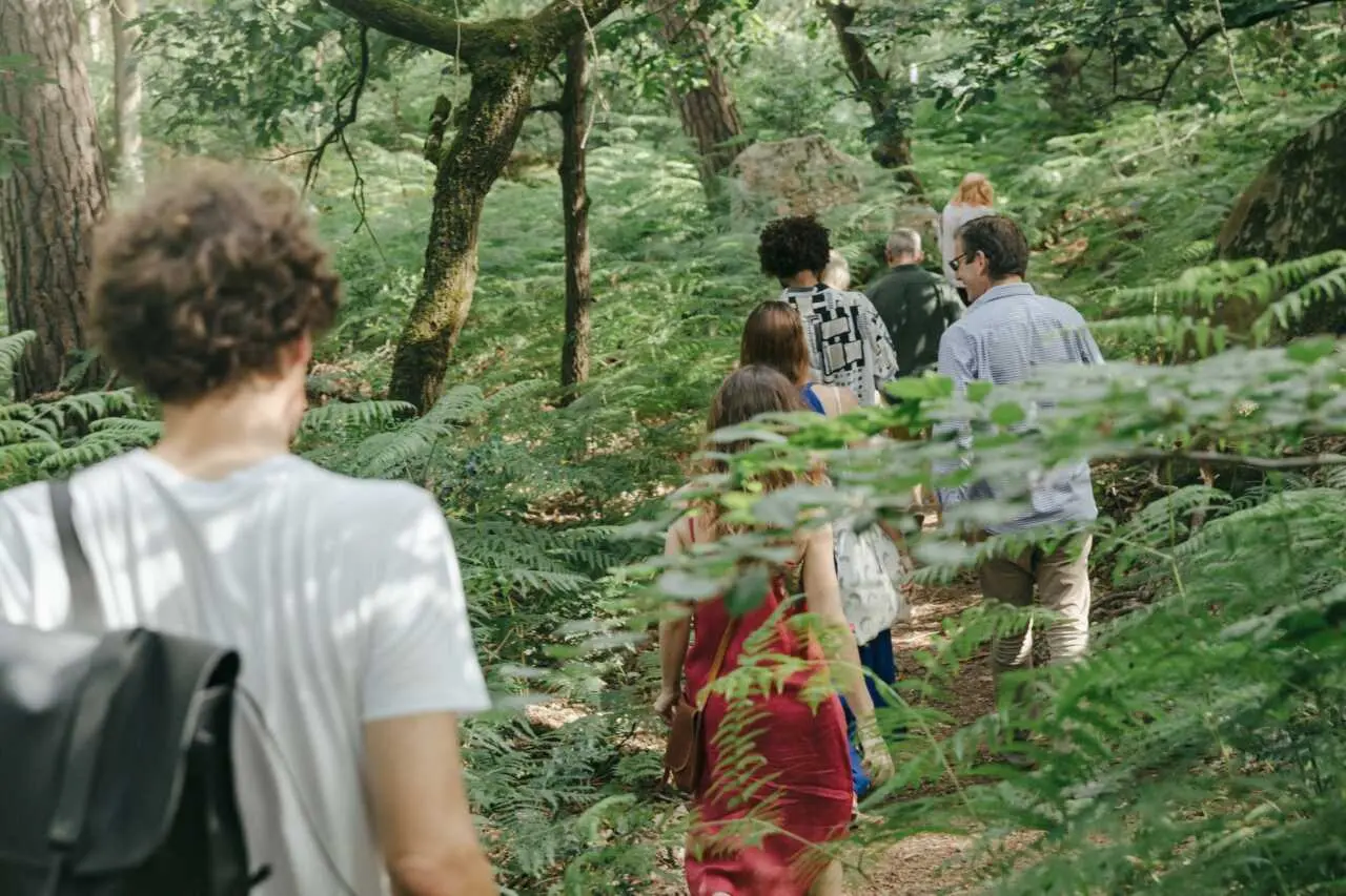 Balades, concerts et contes : l’Occitanie vit au rythme des Nuits des Forêts
