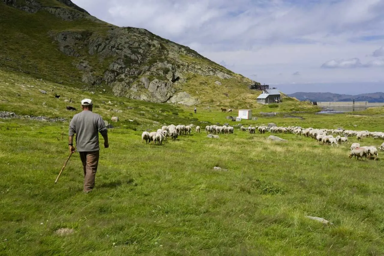 Des animations dans les refuges de montagne cet été Le Parc naturel régional anime