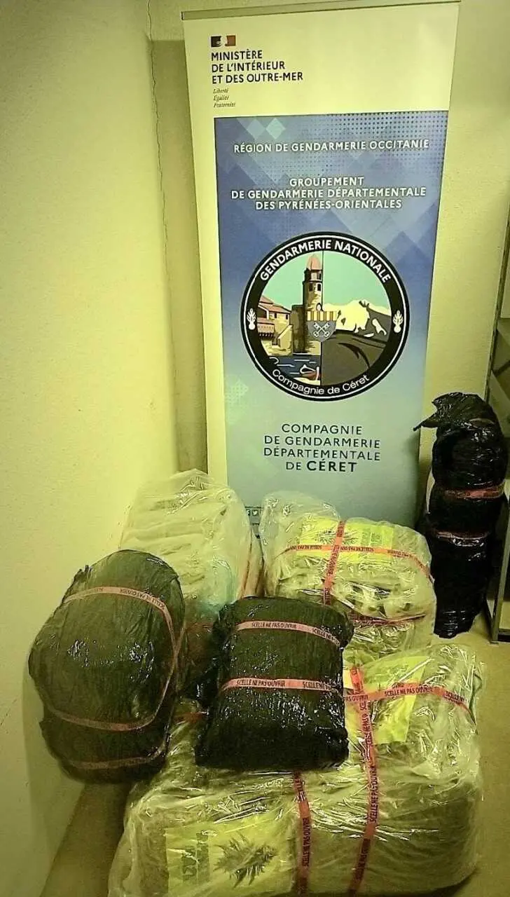 Pyrénées Orientales : 55 kg de cannabis saisis sur la D914, un trafiquant condamné
