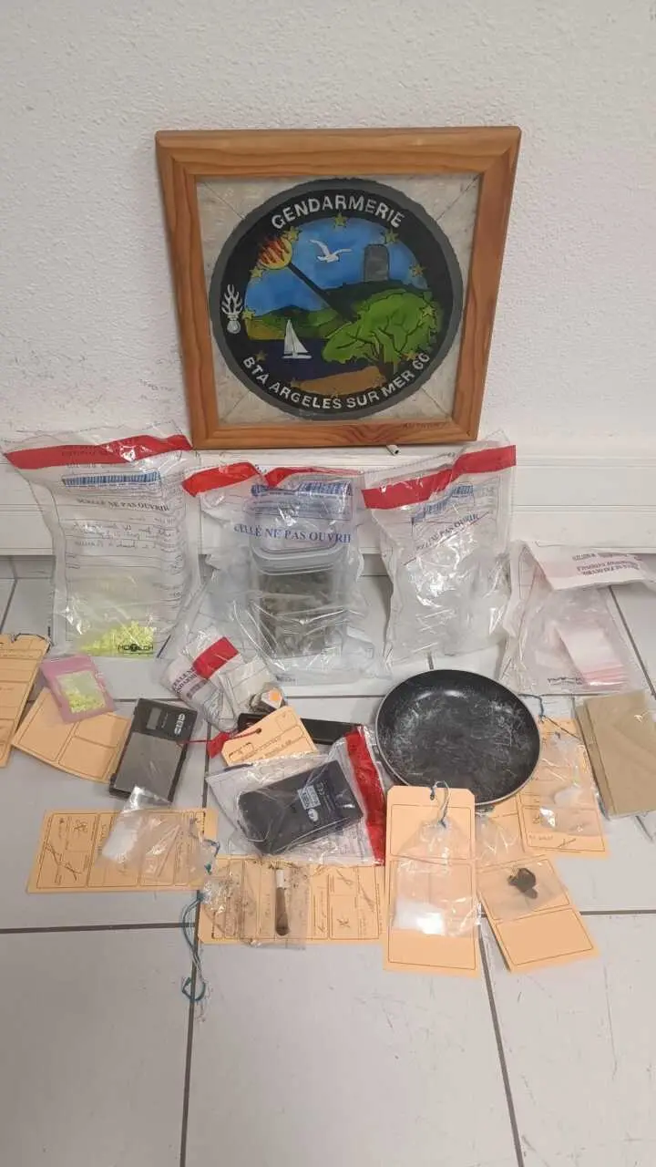 Pyrénées Orientales : 72 sachets de cannabis saisis après une patrouille de nuit à Argelès