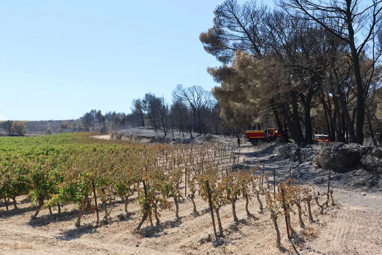 Feux dans l’Aude : la ministre de l’Agriculture Annie Genevard en visite ce mercredi 13 août