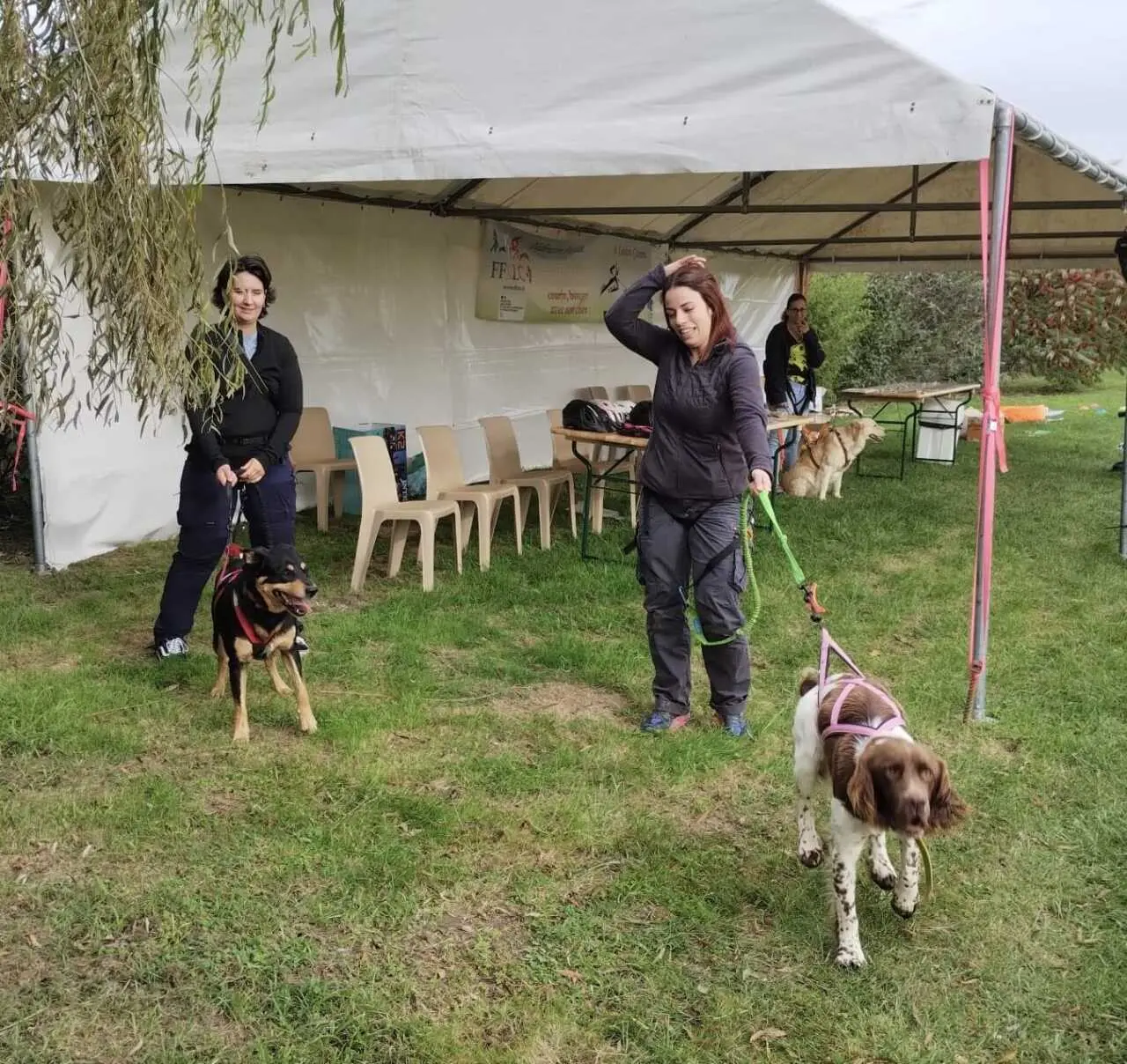 Portes ouvertes au refuge Julie-Cerny : une journée dédiée à l’adoption et au lien avec les animaux