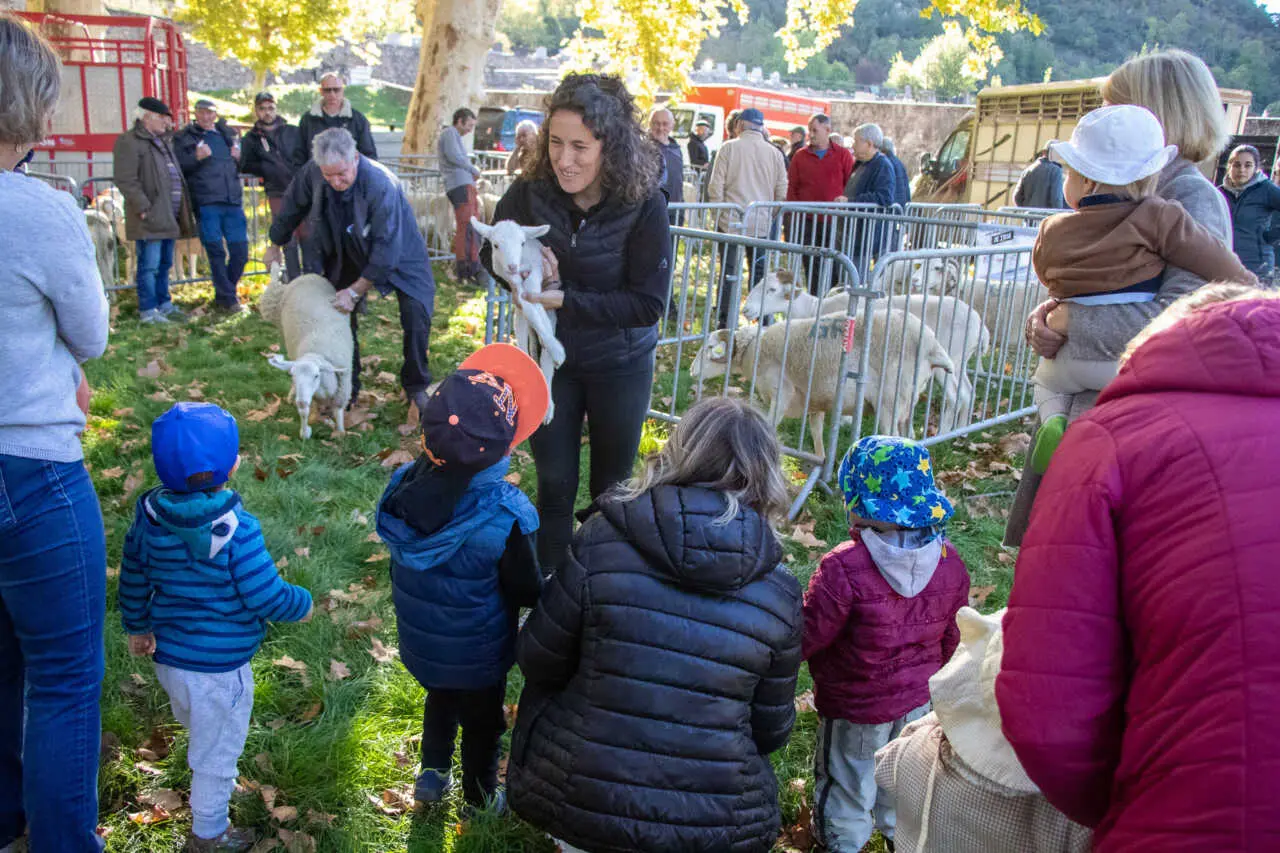 Tarascon-sur-Ariège : la Foire d’automne entre tradition et transmission