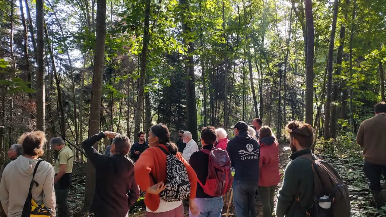 Ariège: Une journée pour apprendre à “marteler” la forêt avec l’association Sylvestre 09