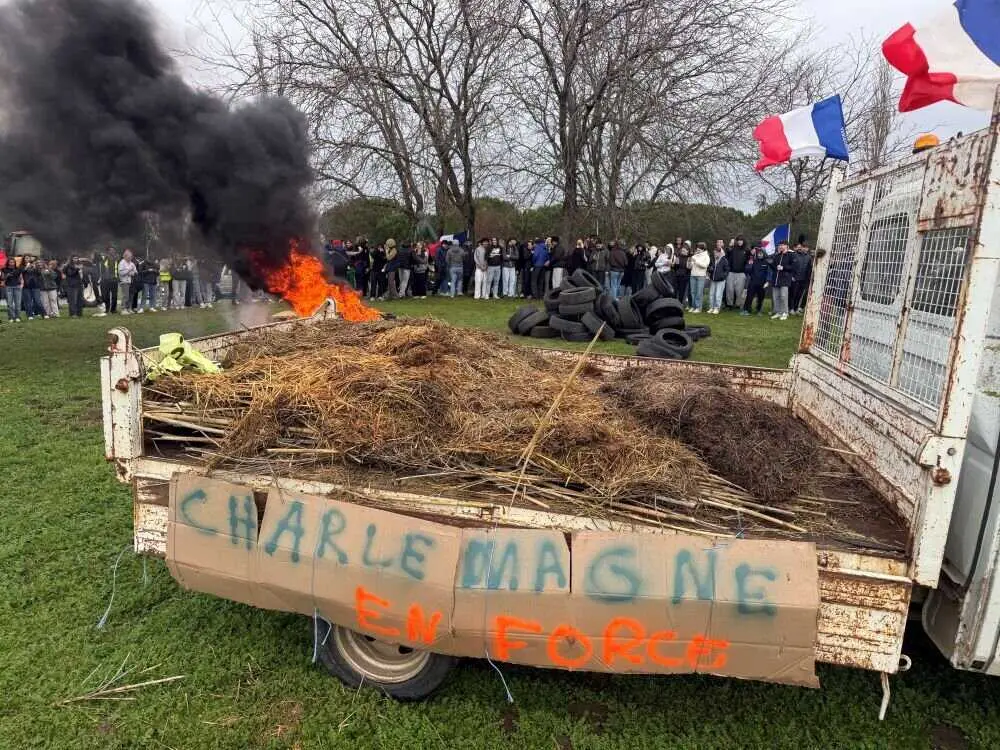 Aude : une centaine de jeunes mobilisés contre la gestion de la dermatose nodulaire