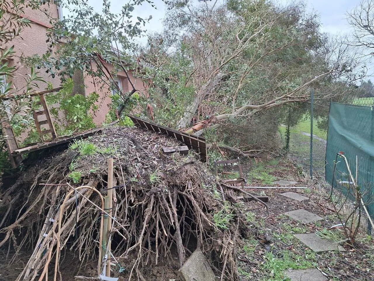 Tempête NILS en Ariège : vents violents, 50 communes touchées et 20 000 foyers privés d’électricité