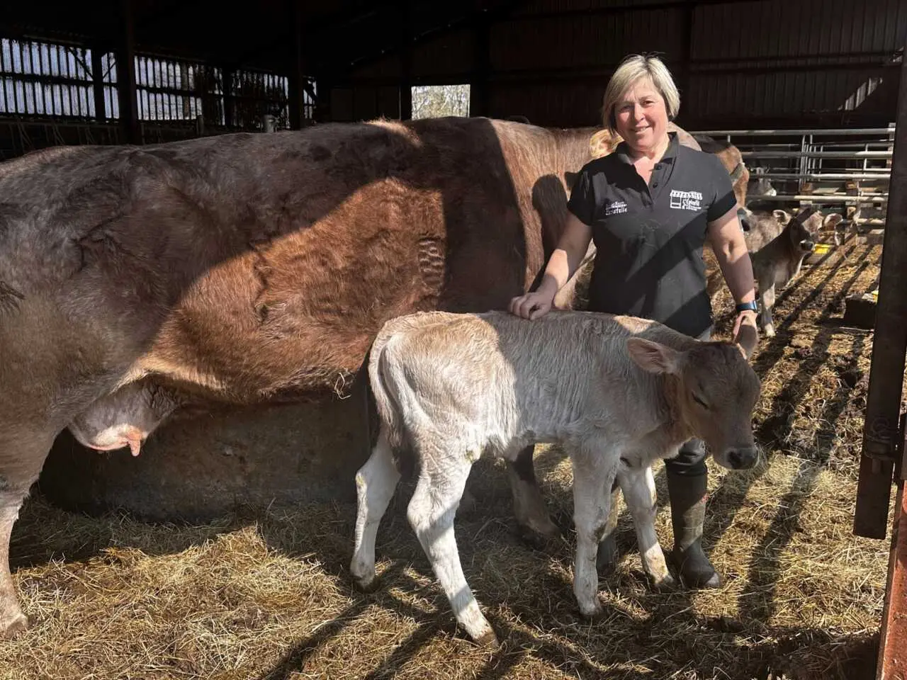Une ferme à l’arrêt pour avoir refusé de vacciner son troupeau
