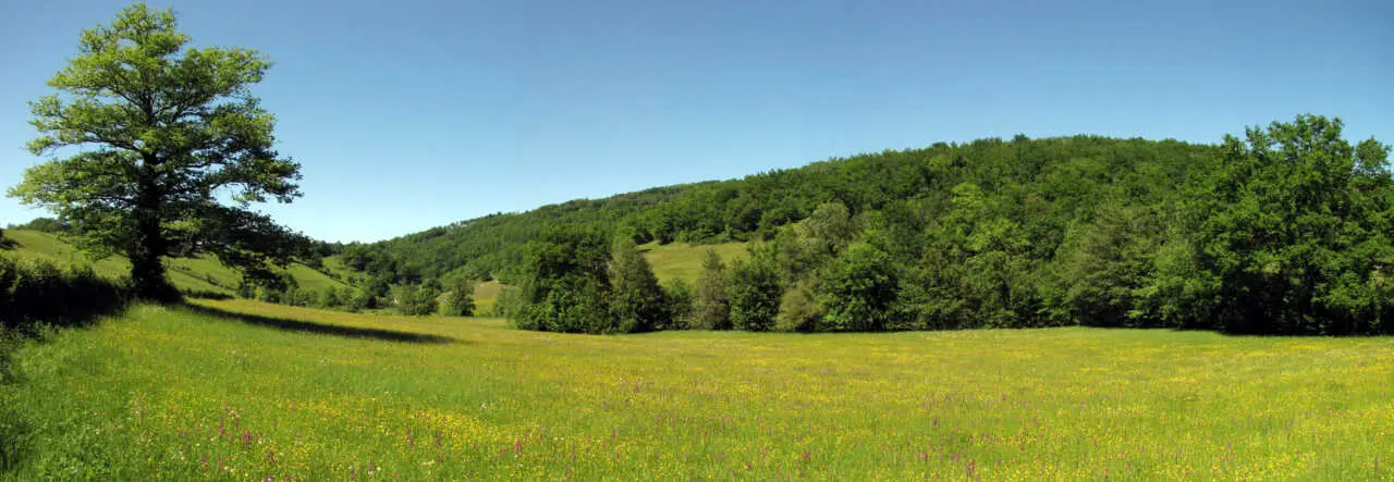 Soigner les soignants au parc des Pyrénées ariégeoises