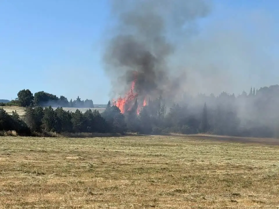 Aude : 5 000 m² de végétation détruits par un incendie à Pezens