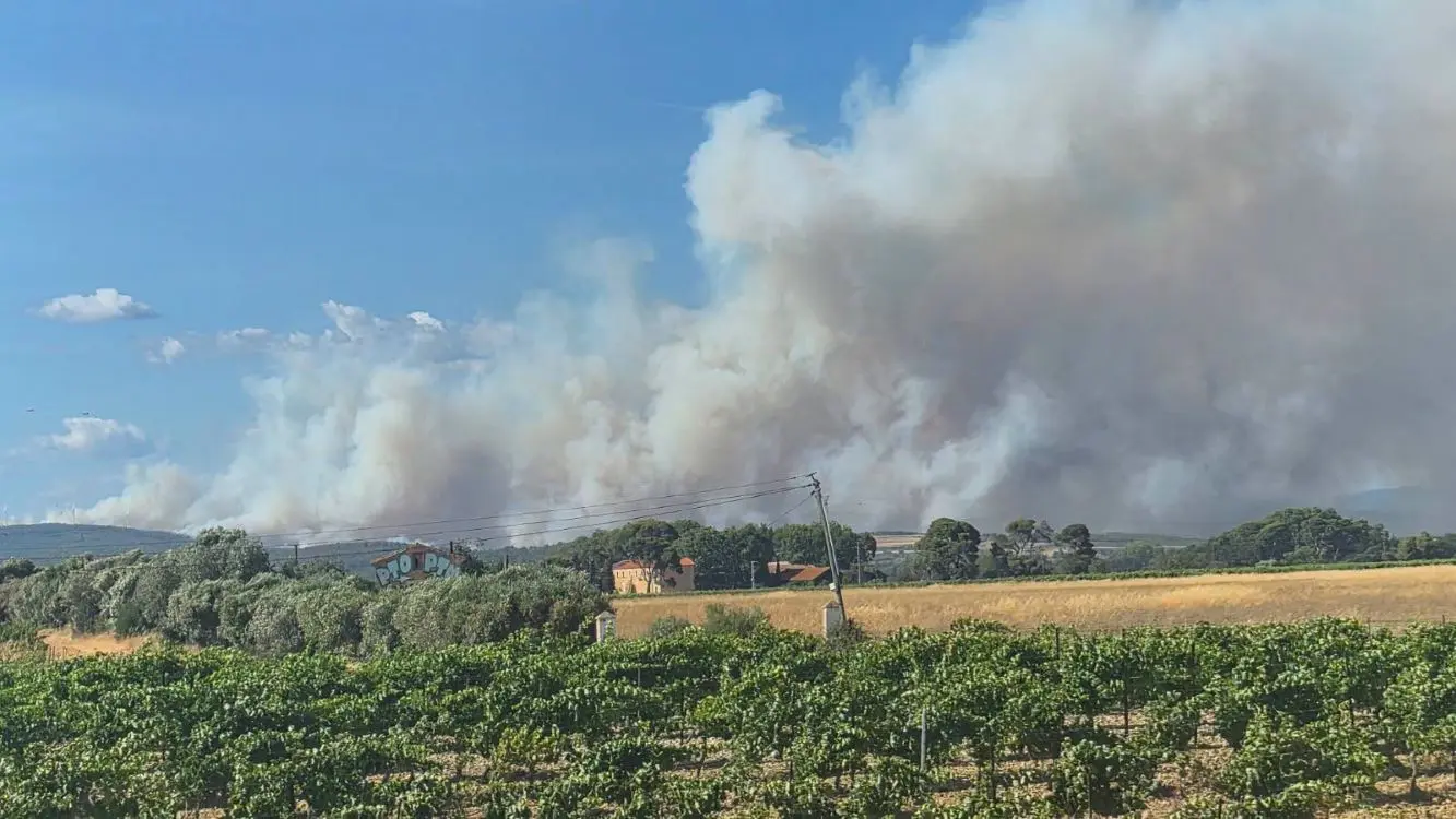 Aude : l'incendie venu de l'Hérault progresse, 201 sapeurs-pompiers mobilisés