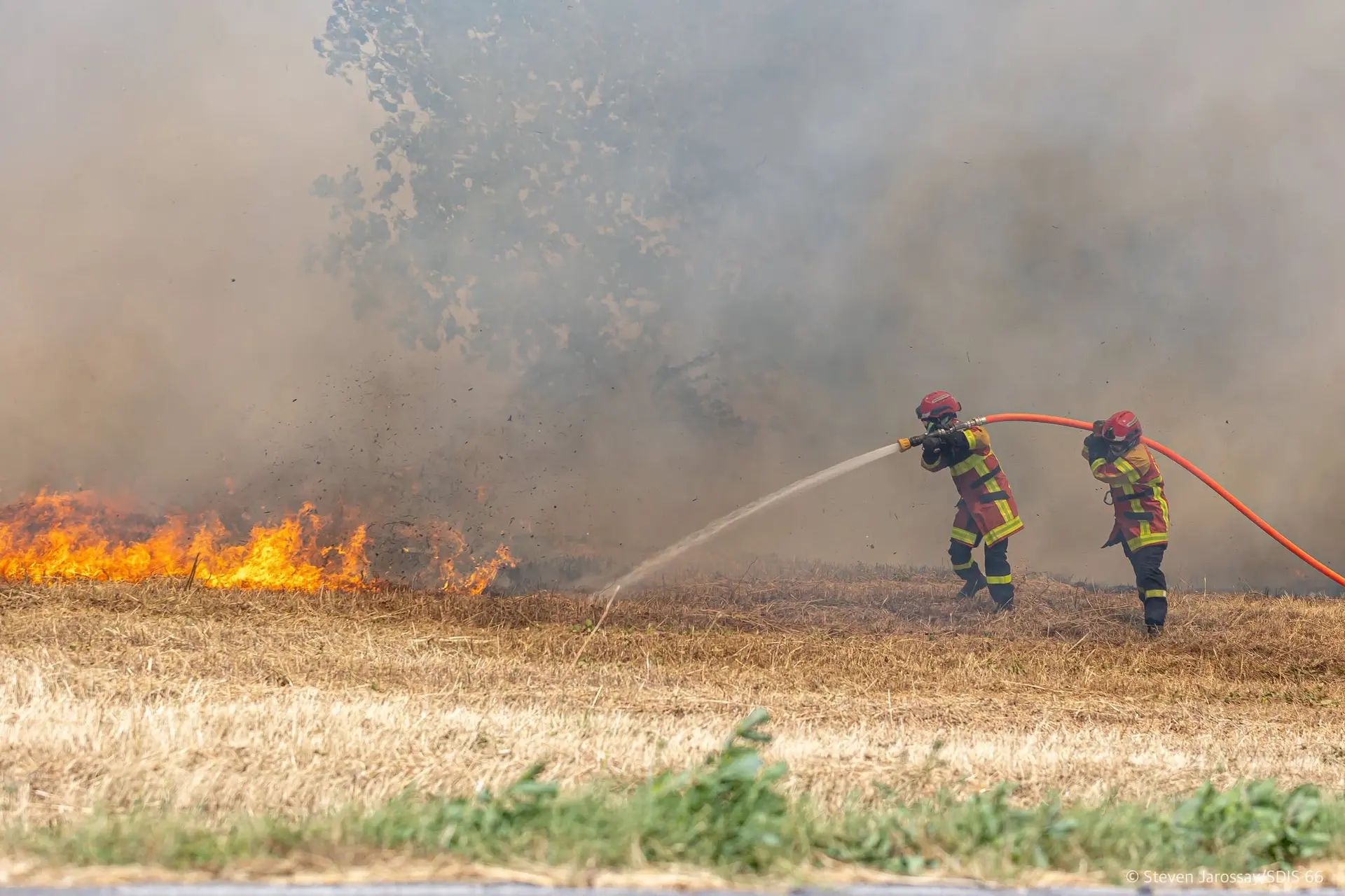 Incendie à Trévillach : près de 1 000 hectares parcourus par les flammes, les secours concentrent leurs efforts sur Ille-sur-Têt
