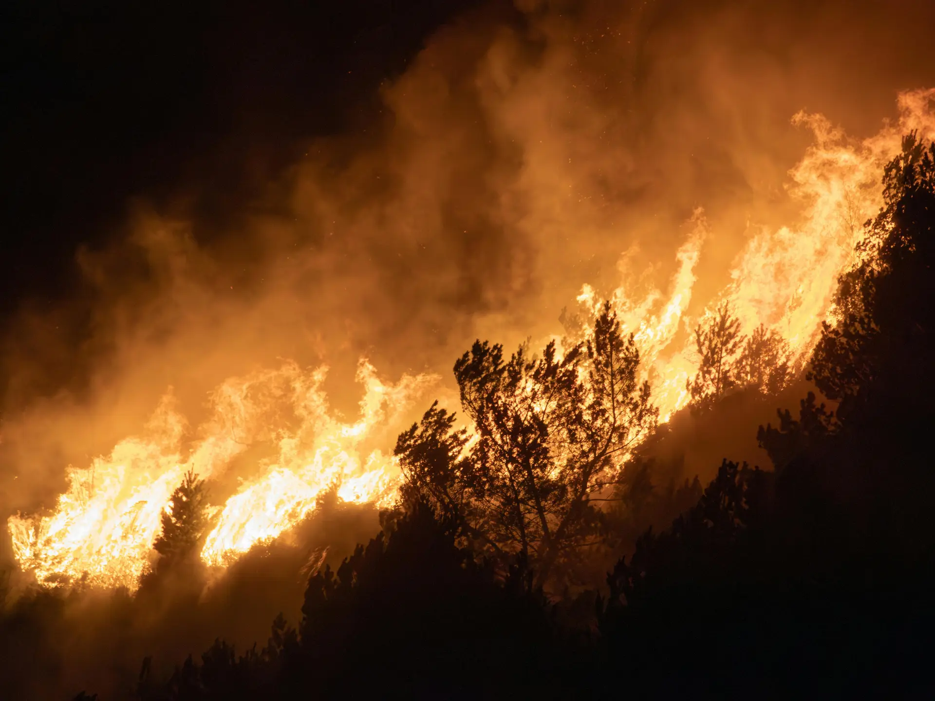 Incendie de Trévillach : 1 650 hectares parcourus, 20 communes évacuées, un pompier et un habitant en urgence absolue