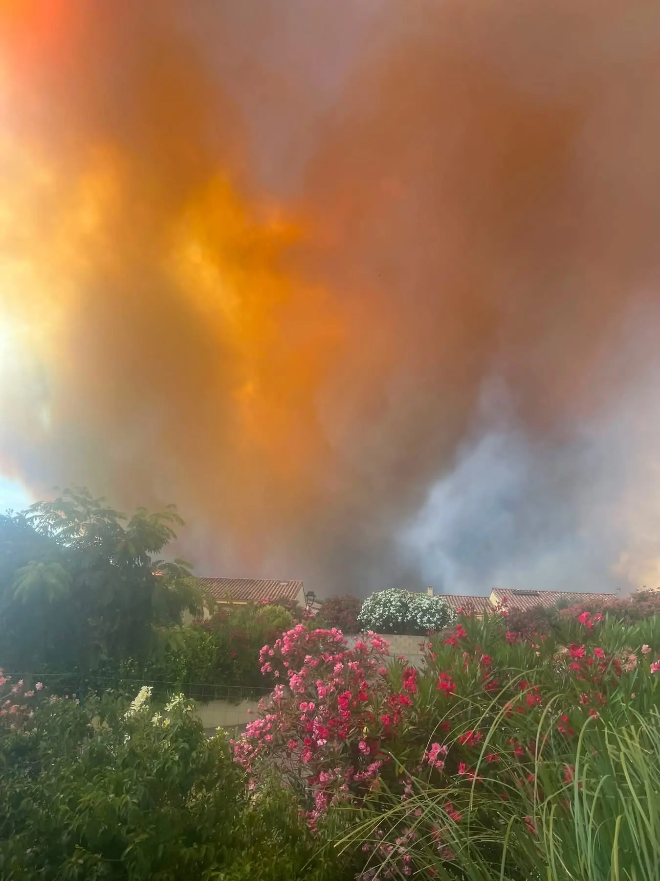 Incendies dans l'Aude : les secours restent mobilisés malgré une amélioration de la situation