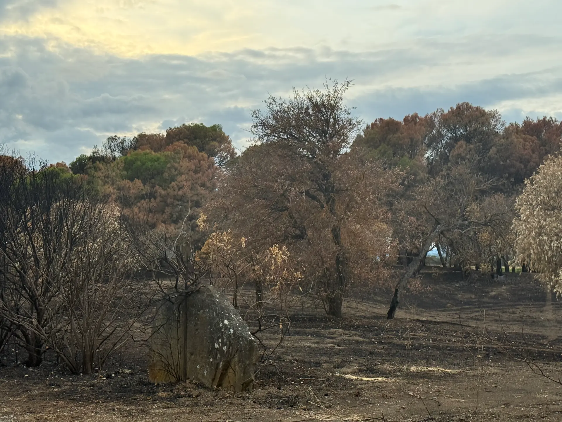 Feux de forêt dans l’Aude : 330 interventions et 1 083 largages entre juin et septembre
